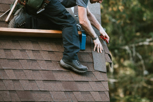 Best Storm Damage Roof Repair  in Alpha, NJ